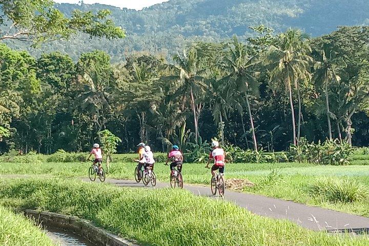 Cycling Village Tour Kulonprogo
