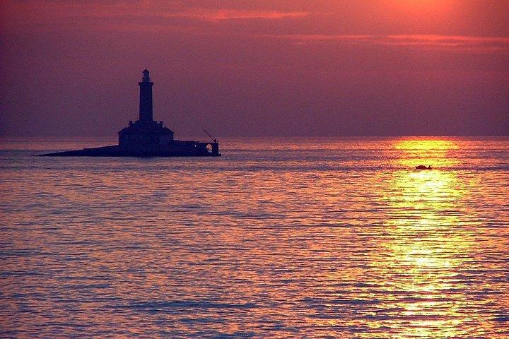 Observación de delfines al atardecer TODO INCLUIDO de 3 horas desde Medulin onSandra