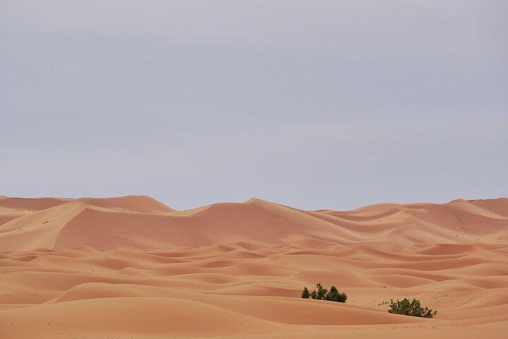 Marrakech to Merzouga 3 days Desert Tour