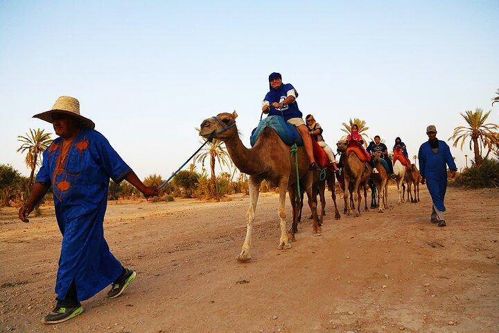 Palmeraie Sunset Camel Ride Experience desde Marrakech