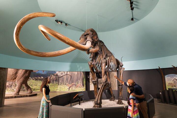 La Brea Tar Pits och inträdesbiljett till museet med grävmaskinstur