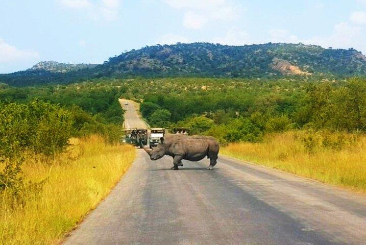 Tour di un giorno al parco nazionale Pilanesberg-Veicolo chiuso