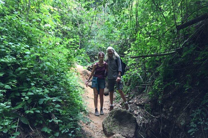 Randonnée en montagne des singes
