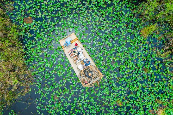 60分エバーグレーズ エアボートの乗車と送迎、少人数グループ + プロのガイド