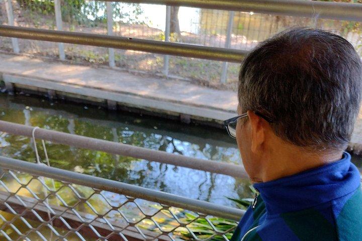 Litchfield Tour & Crocodile - Crocodylus Park