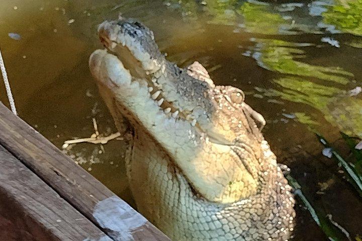 Litchfield Tour & Crocodile - Crocodylus Park