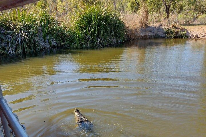 Litchfield Tour & Crocodile - Crocodylus Park