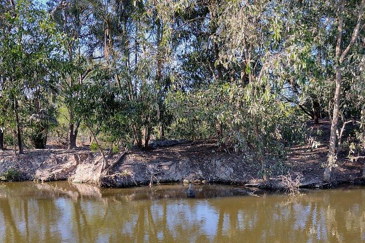 Litchfield Tour & Crocodile - Crocodylus Park