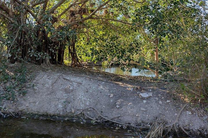 Litchfield Tour & Crocodile - Crocodylus Park