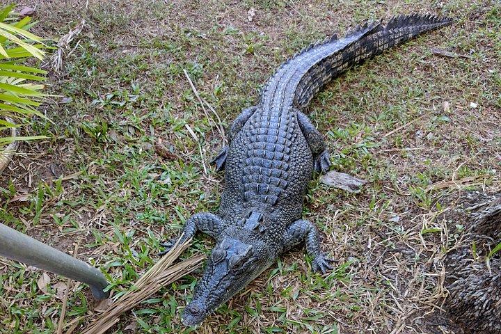 Litchfield Tour & Crocodile - Crocodylus Park