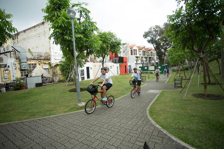 Singapore fietstour ( privétour )
