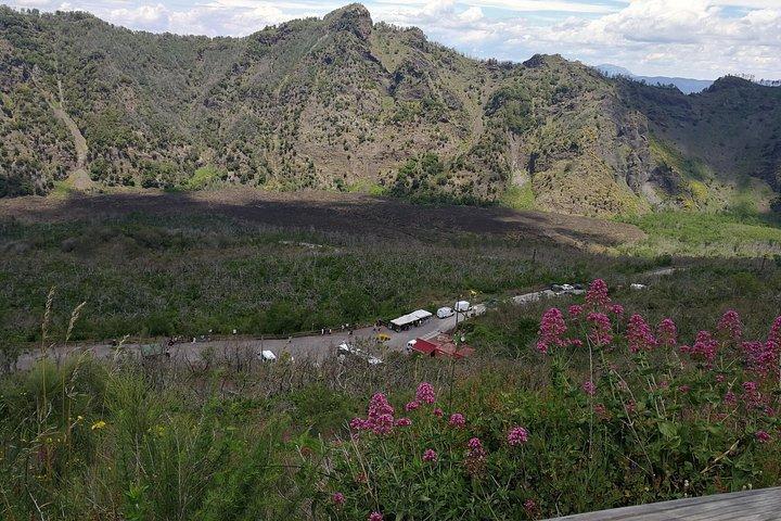 ベスビオ火山とヘルクラネウムへの6時間ツアー