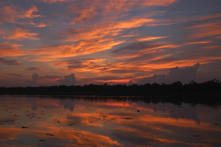6-tägige All-Inclusive-Dschungeltour von Iquitos in der Maniti Eco-Lodge