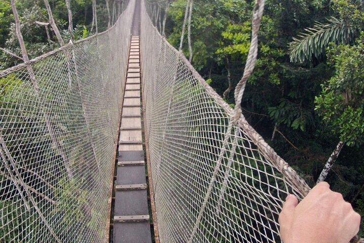 Excursão de três dias guiada pela selva com tudo incluso de Iquitos no Maniti Eco-Lodge