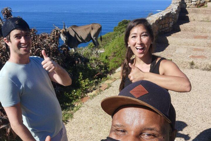 Cape Point Xplorer