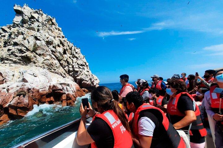 パラカス、バジェスタス諸島、ワカチナのガイド付きツアー