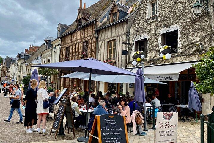 Private 3 Loire Castles Live Guided with Wine tasting from Paris