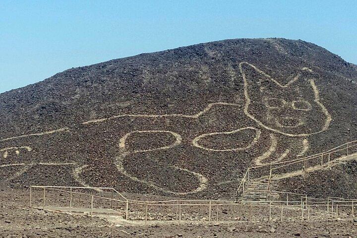 Die Nazca-Linien, Paracas und die Oase Huacachina (2T/1N) – Privatreise