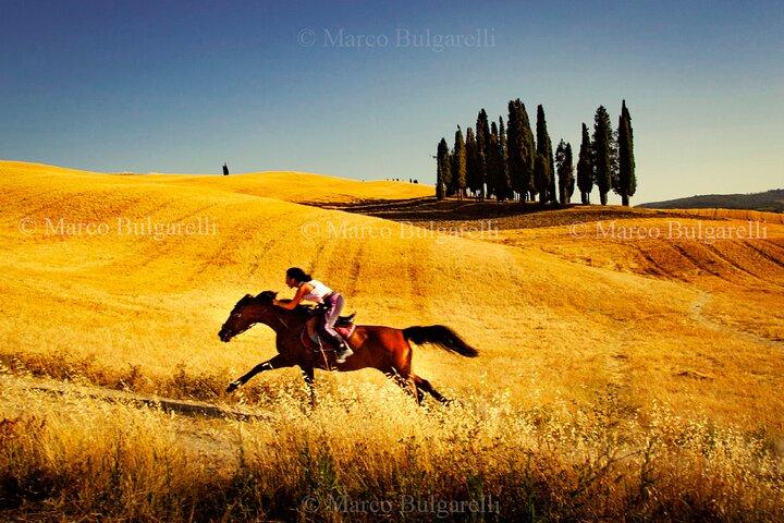 Billeder af Toscana Photo Tours
