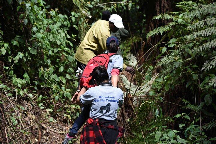 7-tägige private Gorilla-Tracking- und Wildtiersafari von Entebbe