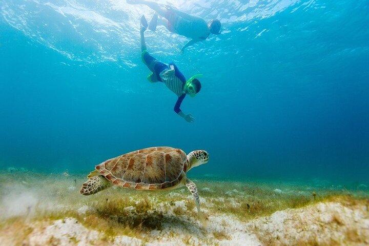 アメージングツアー：トゥルム、アクマルガメ、セノーテ（カンクン）