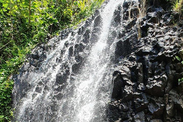 ユニークなタヒチツアー - パーソナライズされた小グループの西海岸ツアー