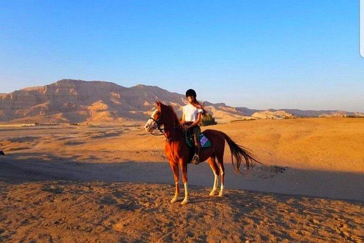 アガファイ砂漠＆ベルベル村＆アトラス山脈、マラケシュから終日旅行