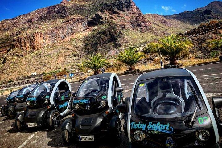 4 - Excursion Eco Mountain Safari d'une heure avec voiture électrique à Tenerife