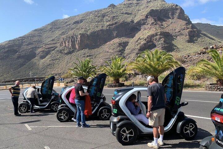 4 - Tour Eco Safari in Montagna con Auto Elettrica a Tenerife