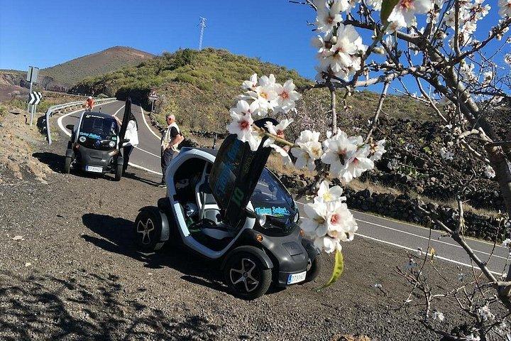 4 - テネリフェで電気自動車を使ったエコマウンテンサファリツアー