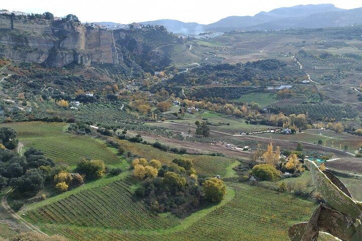 Private Excursion to Ronda from Costa del Sol 7 Hours