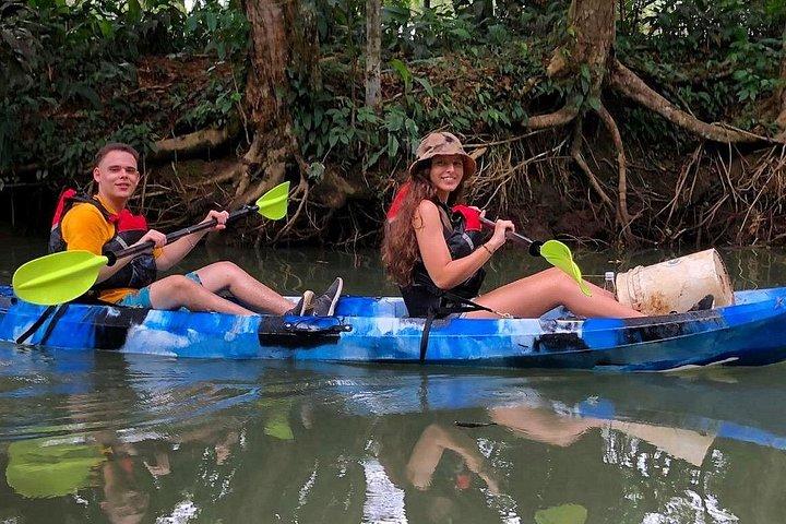 Mangrove Kayak