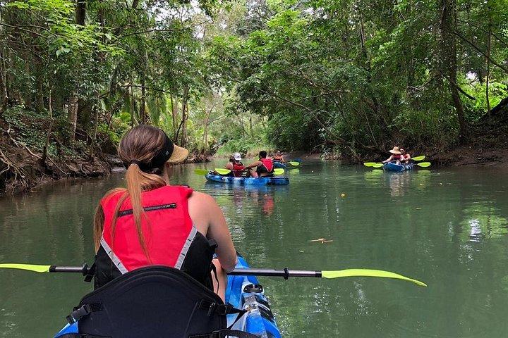 Mangrove Kayak