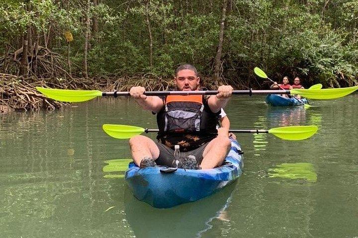 Mangrove Kayak