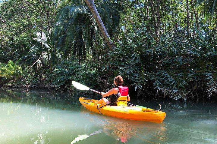 Mangrove Kayak