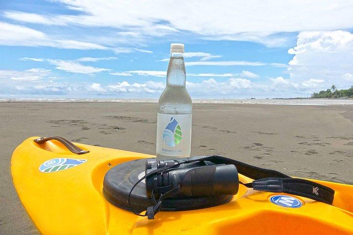 Mangrove Kayak