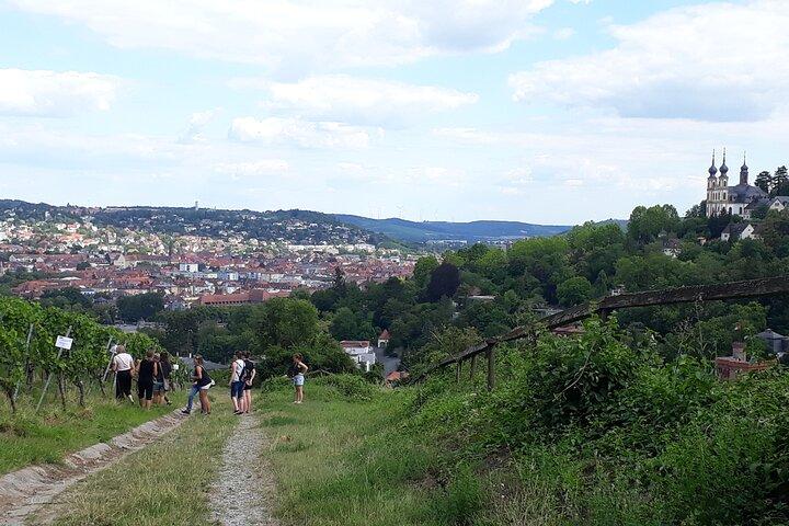 Wine rally in Würzburg with tasting