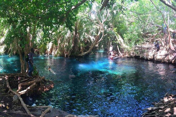 Vandring med Kilimanjaro-vattenfall och dagsutflykt till Moshi Hot Springs