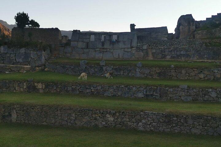 Machu Picchu Tour de dia inteiro de trem de Cusco