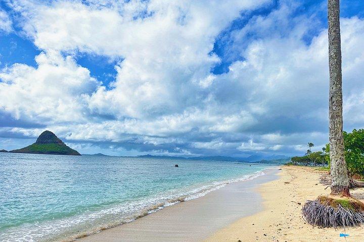 オアフ島体験とノースショア（小グループツアー）