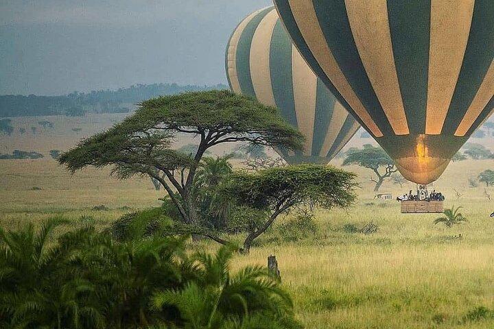 8-dages Tanzania privat safaritur med afhentning i lufthavnen