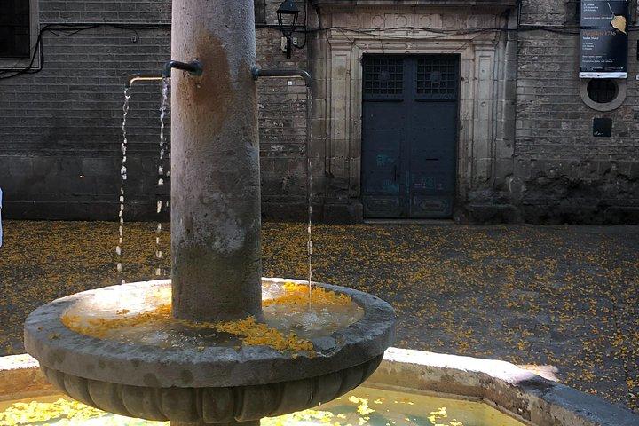 Private Tapas Tour with a local Guide- Discover the local "bodegas"