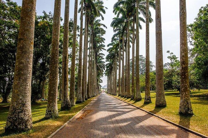 Excursión privada de día completo a los jardines botánicos de Aburi y las cataratas de Boti