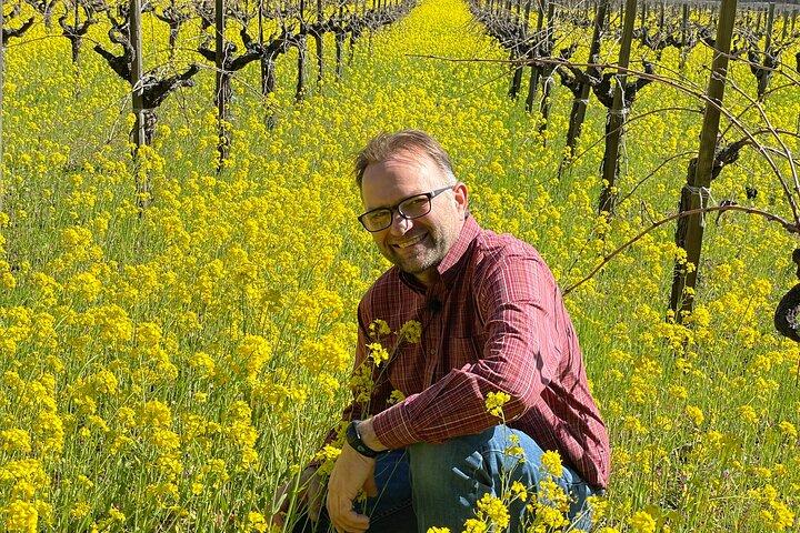 Wine Tour Proffs - Napa Wine Tour: SUV upp till 6 gäster