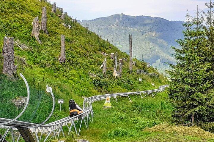 Neuschwanstein incluindo ingressos e Alpine Coaster Private de Munique