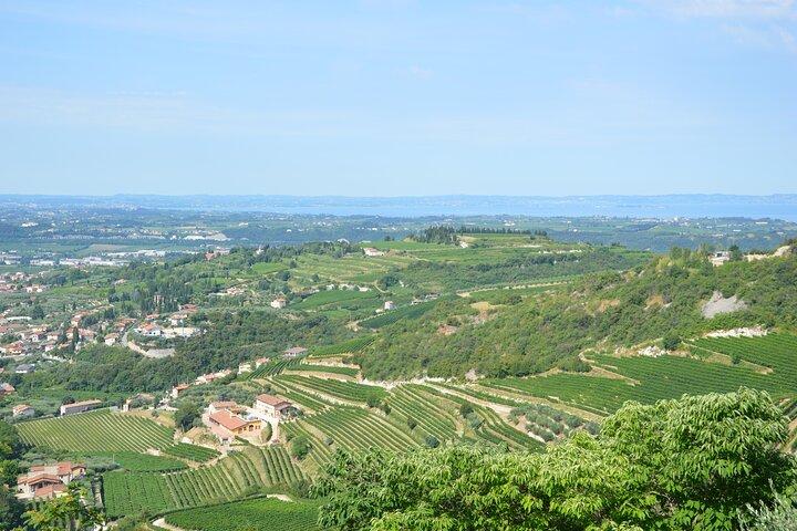 Pagus Wine Tours® - アマローネの味 - 半日ワインツアー