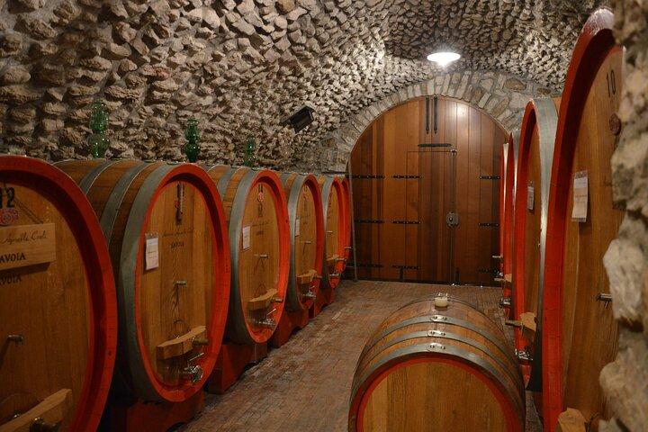 Pagus Wine Tours® - アマローネの味 - 半日ワインツアー