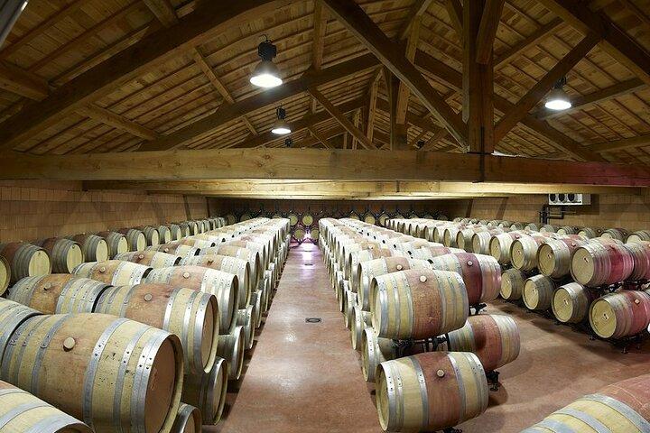 Halvdags privat vintur till Cotes du Rhone från Lyon