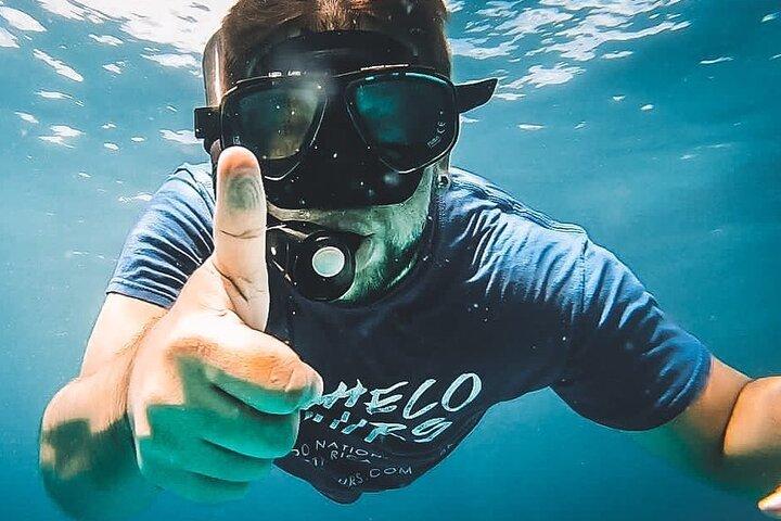 Pacheco Tours - Tour di snorkeling nell'isola di Caño da Drake Bay