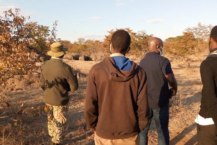 Game Drive And Rhino Walk